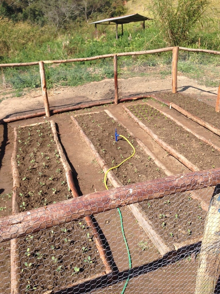 Terreno, 73 hectares - Foto 65