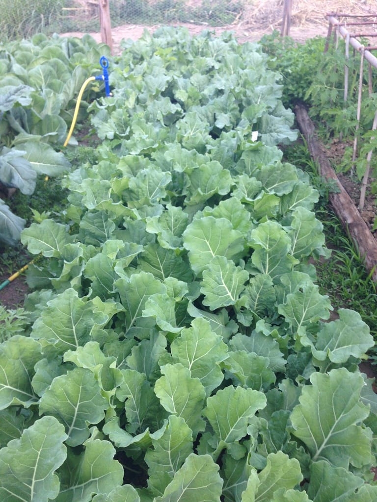 Terreno, 73 hectares - Foto 66