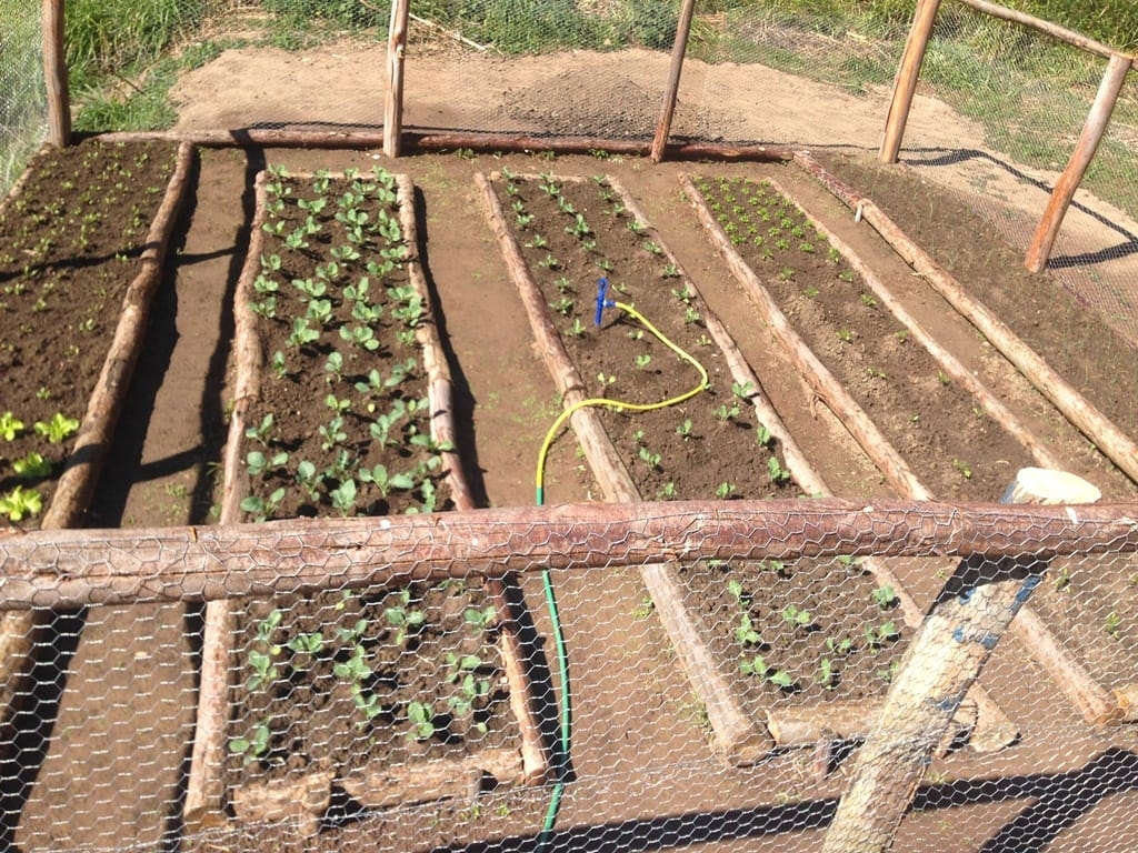 Terreno, 73 hectares - Foto 67