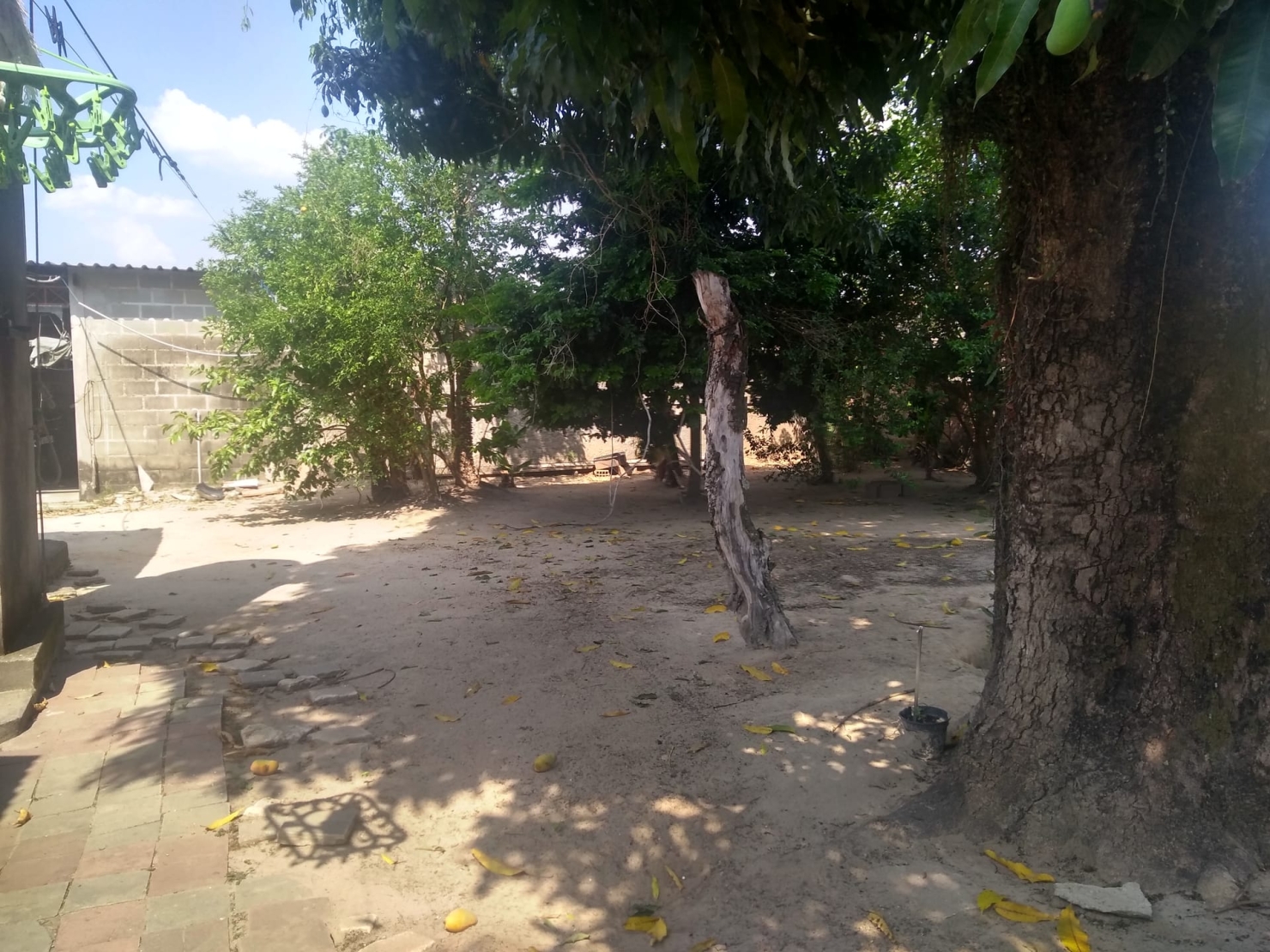 Chácara, 3 quartos, 1700 m² - Foto 3