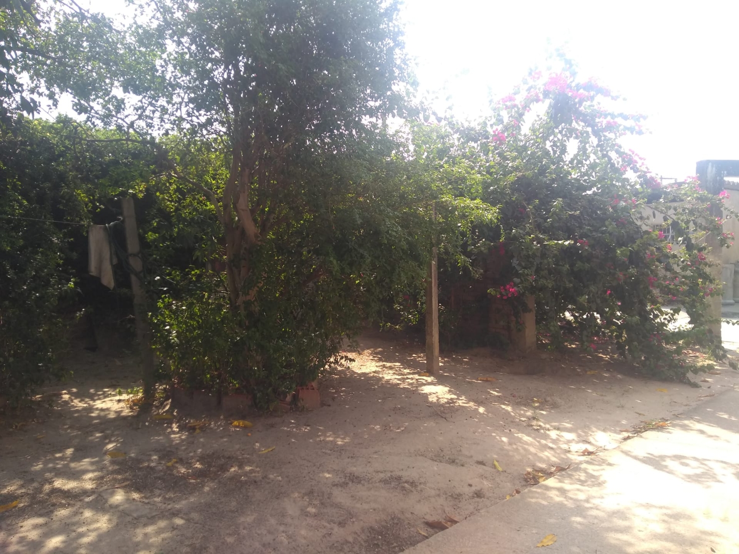 Chácara, 3 quartos, 1700 m² - Foto 4