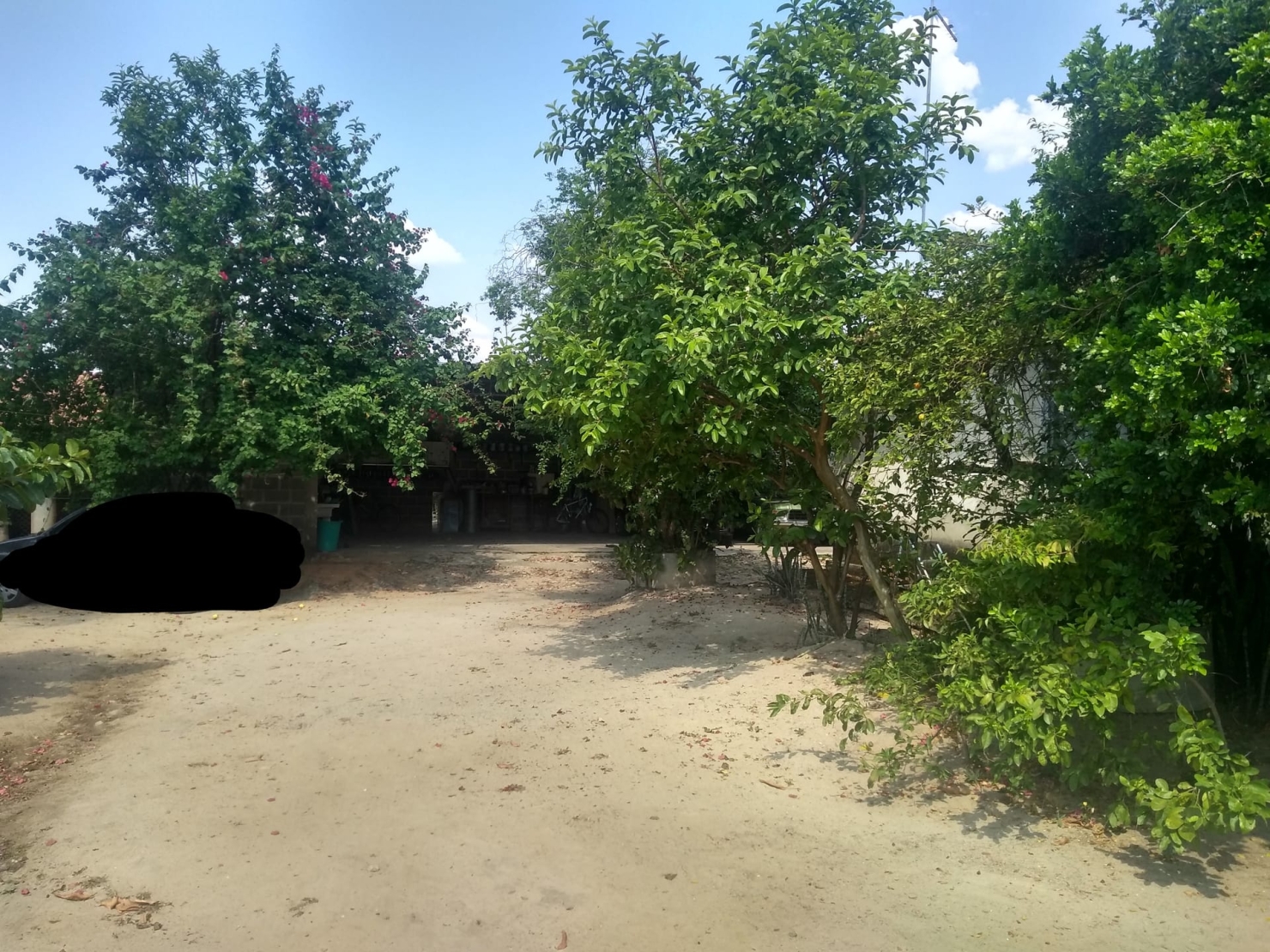 Chácara, 3 quartos, 1700 m² - Foto 13