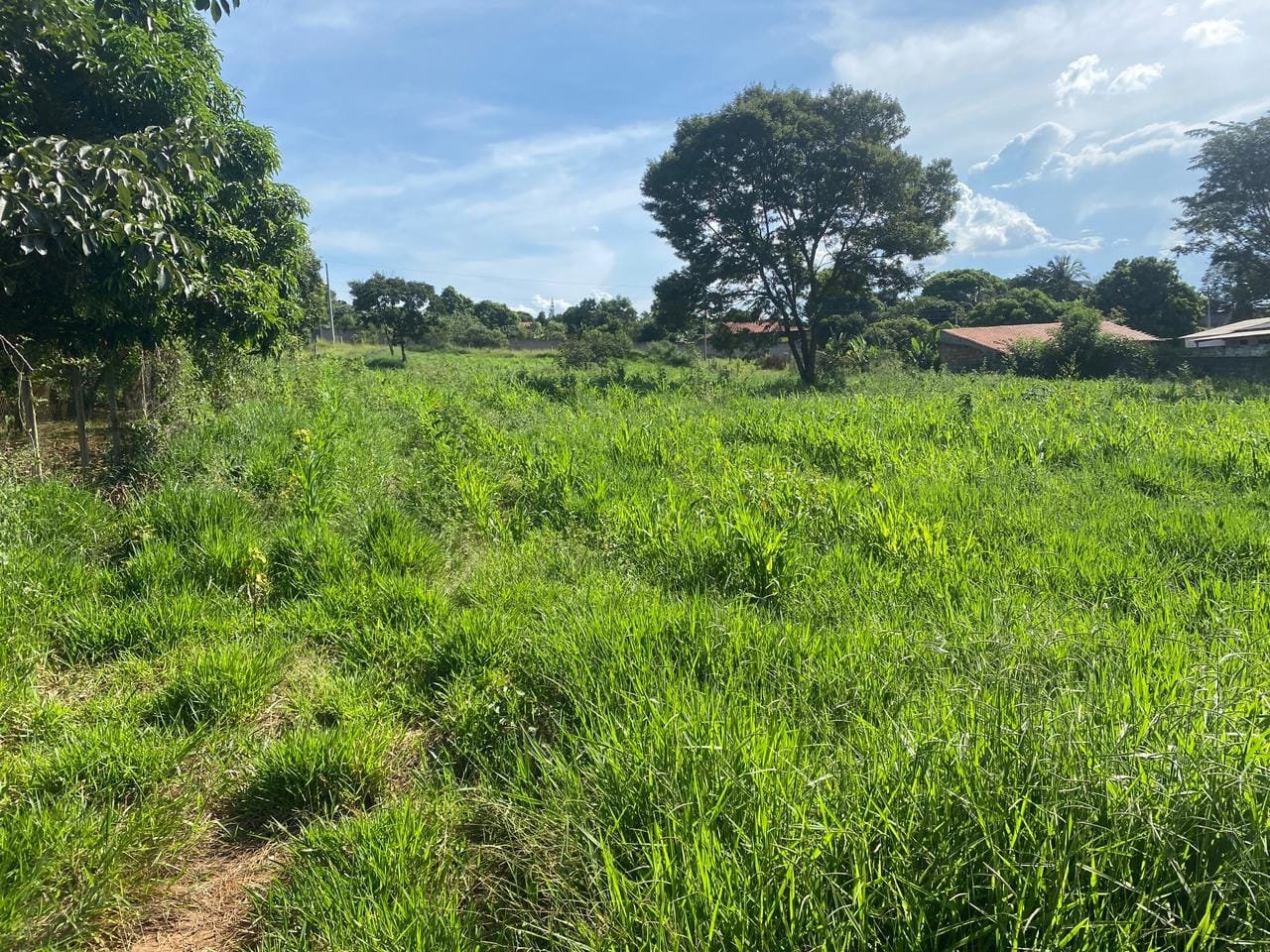 Terreno, 4000 m² - Foto 3