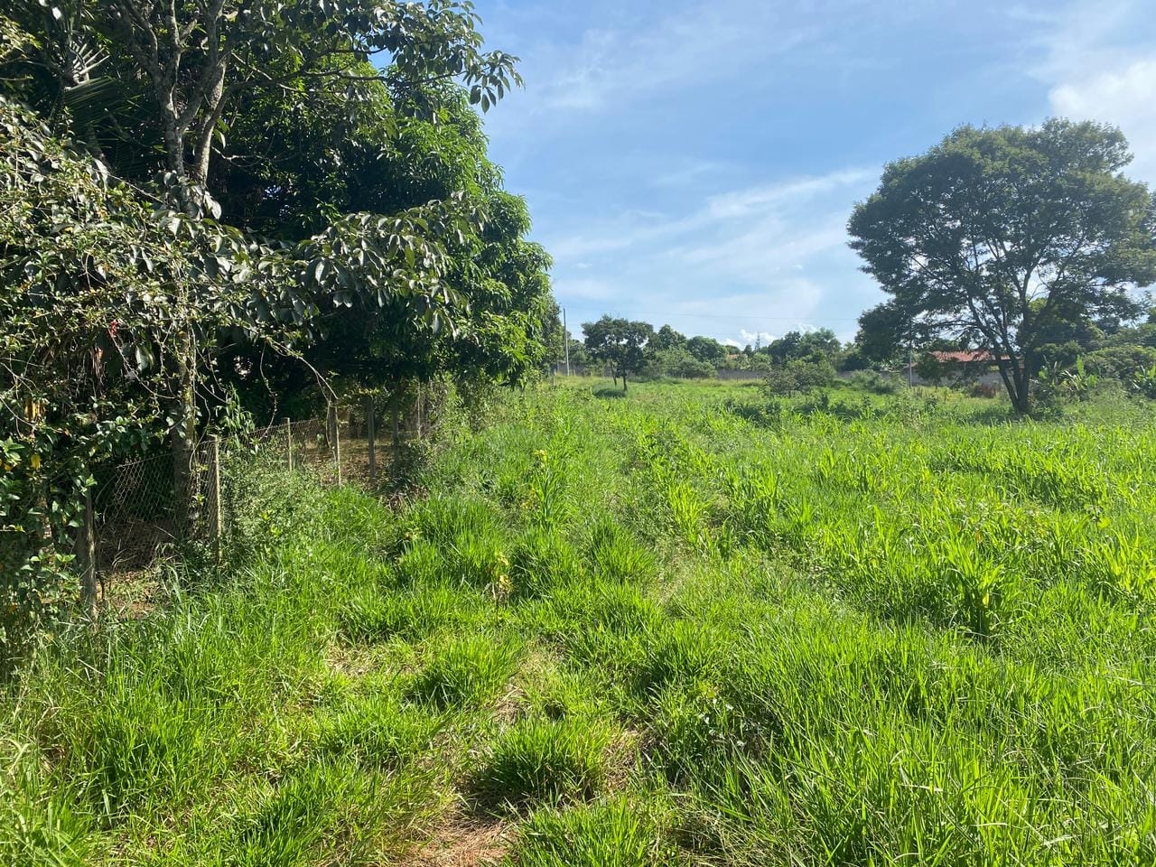 Terreno, 4000 m² - Foto 4