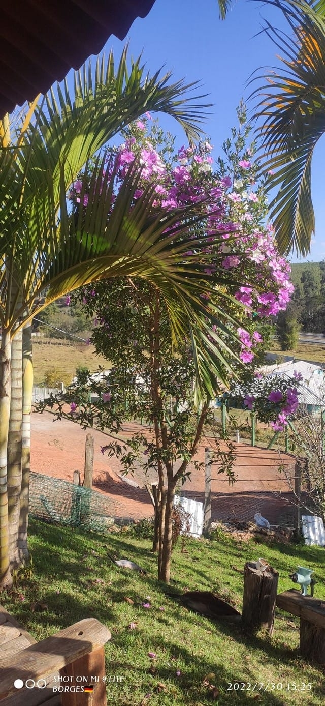 Chácara à venda com 2 quartos, 1250m² - Foto 13