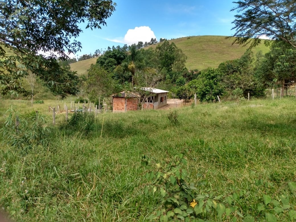 Terreno, 14 hectares - Foto 6