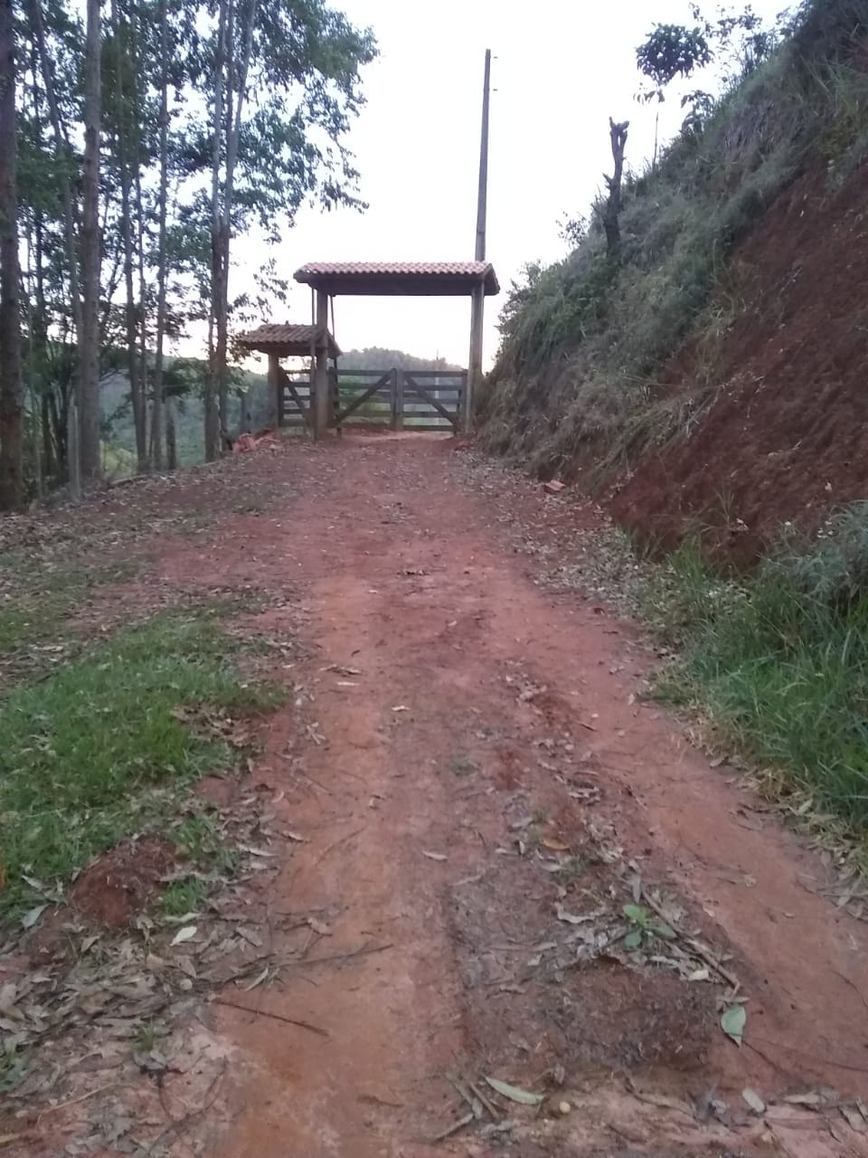 Terreno, 14 hectares - Foto 8