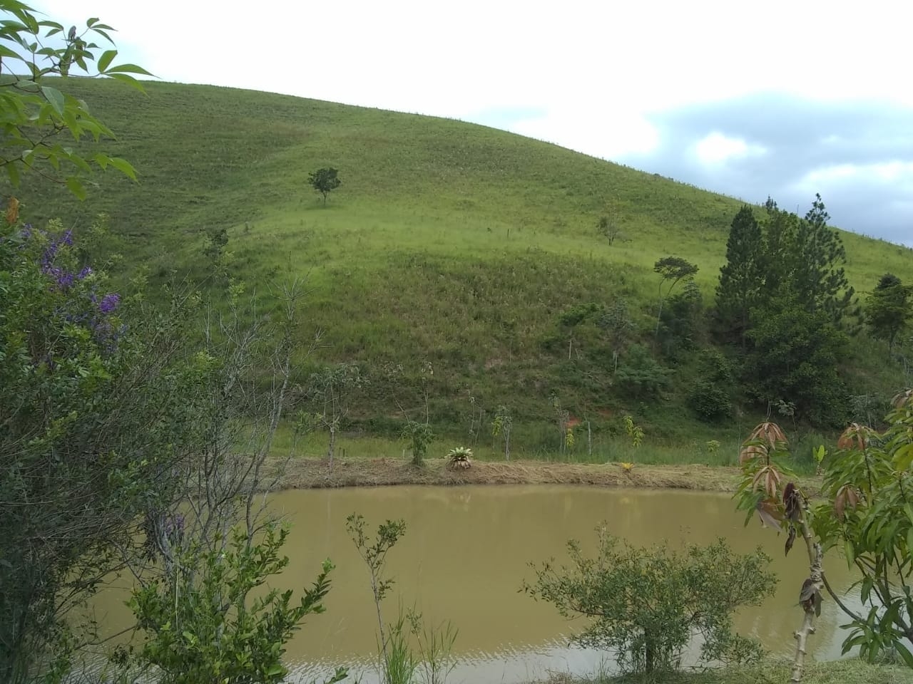 Terreno, 14 hectares - Foto 9