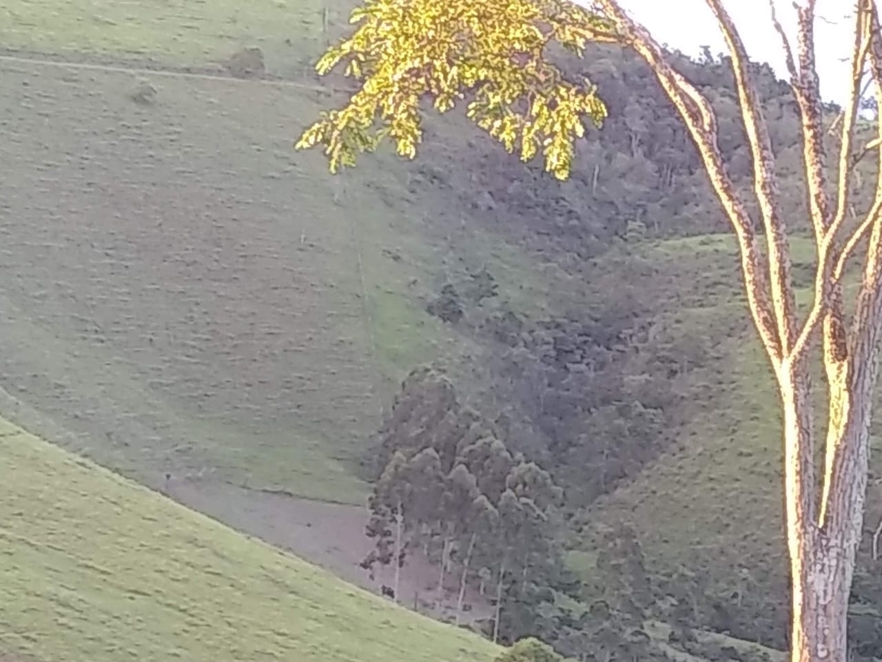 Terreno, 14 hectares - Foto 11