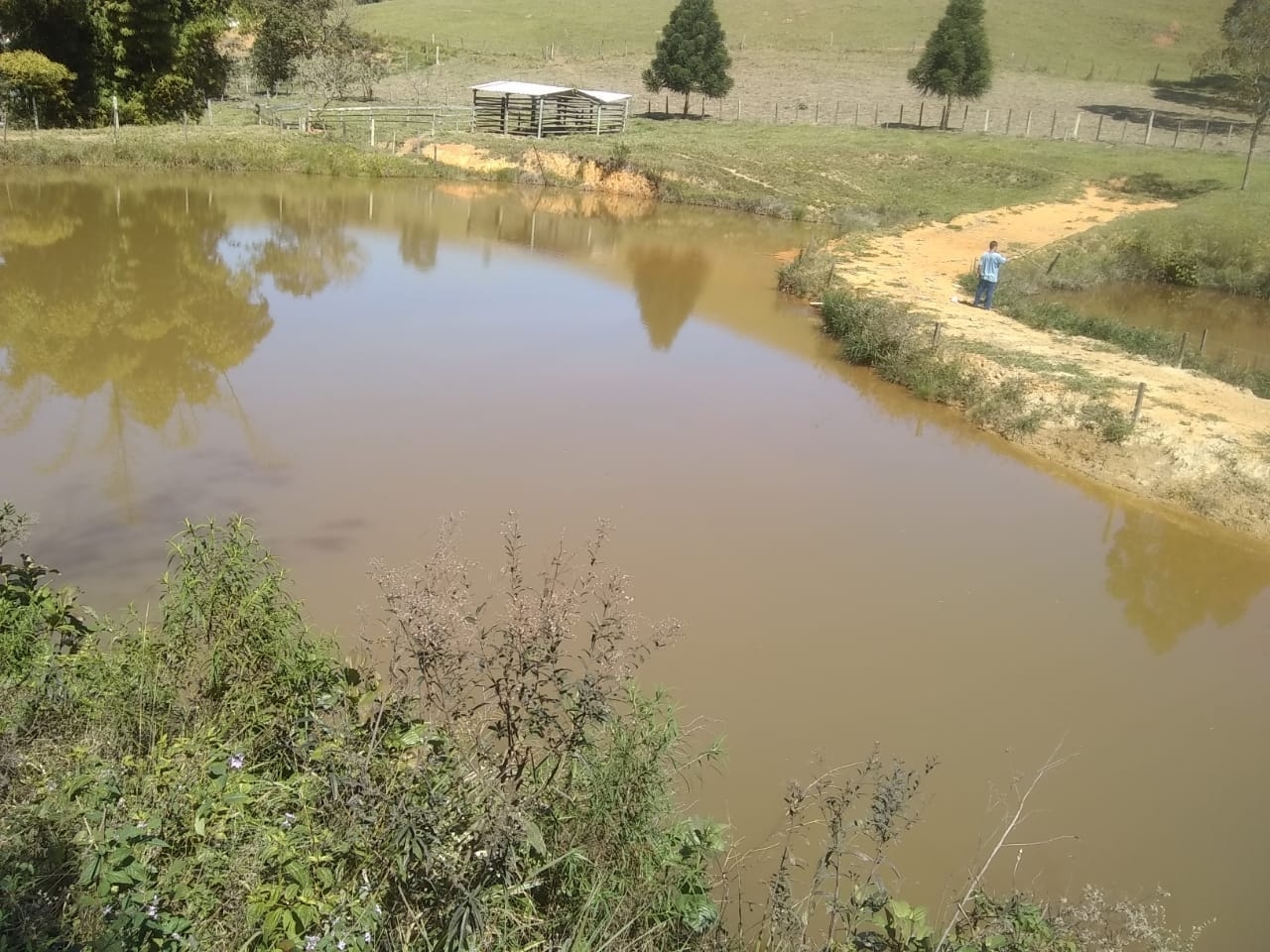 Terreno, 14 hectares - Foto 12