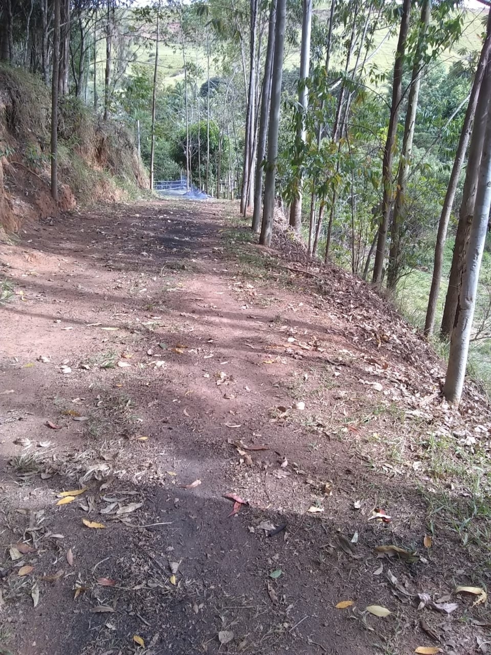 Terreno, 14 hectares - Foto 13