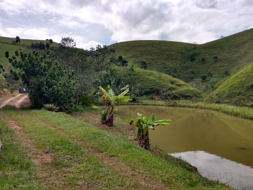 Terreno, 14 hectares - Foto 15