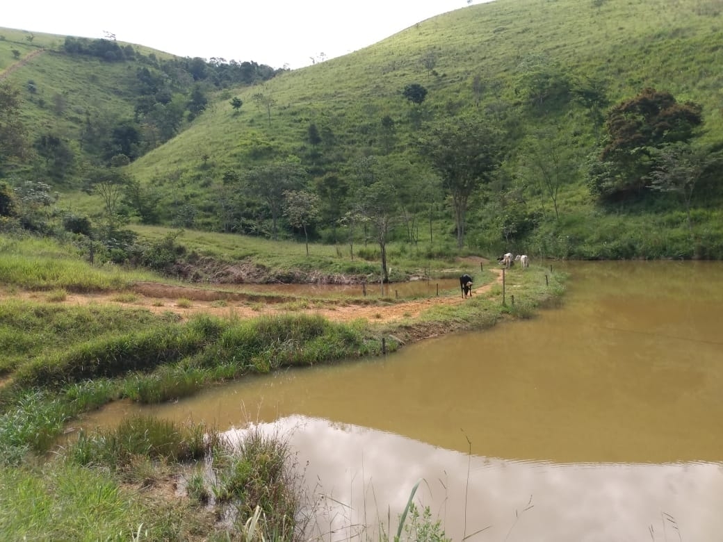 Terreno, 14 hectares - Foto 17