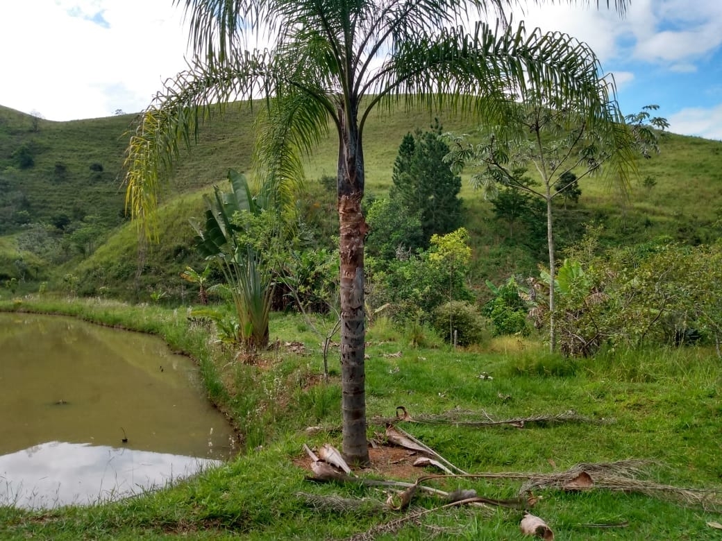 Terreno, 14 hectares - Foto 18