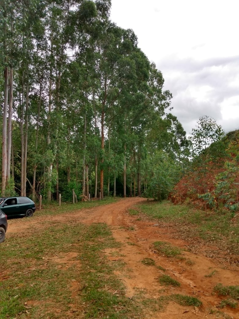 Terreno, 14 hectares - Foto 19