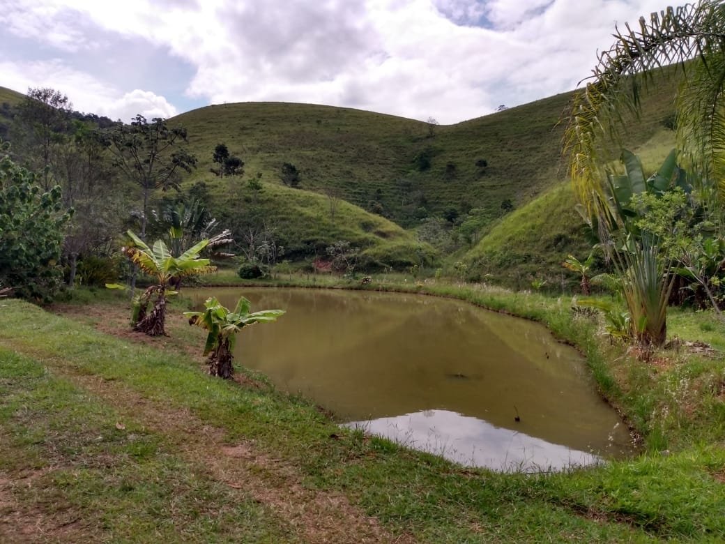Terreno, 14 hectares - Foto 21