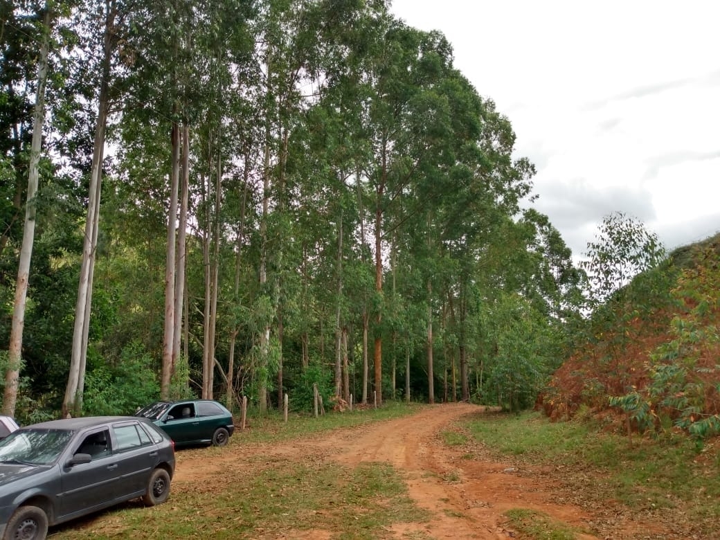 Terreno, 14 hectares - Foto 22