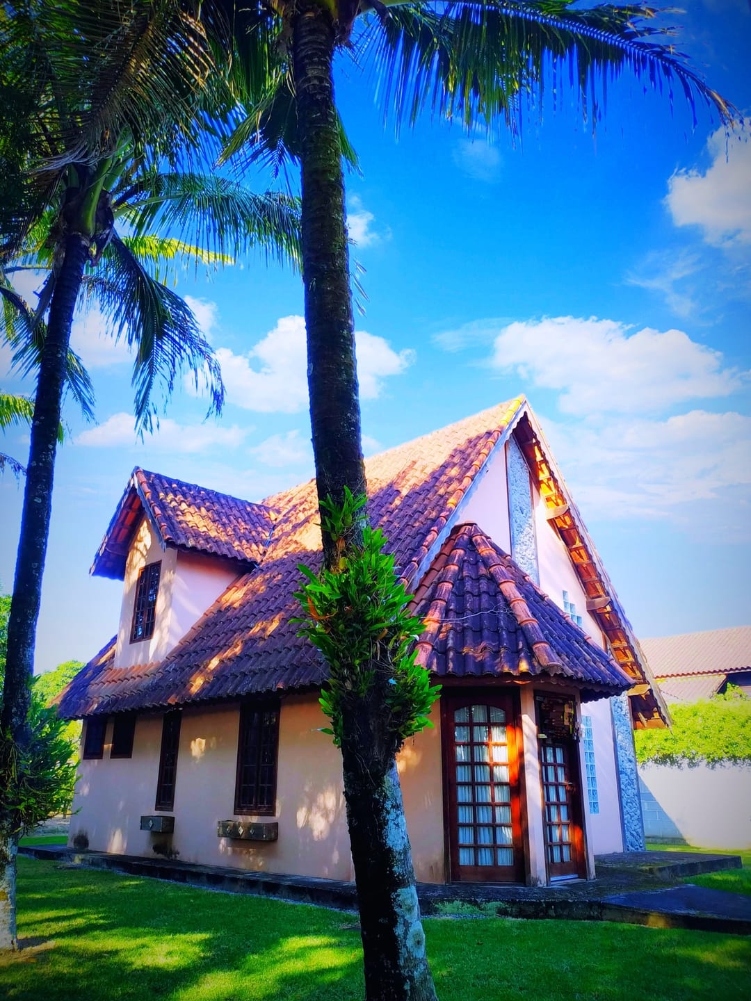 Chácara, 2 quartos, 2036 m² - Foto 12