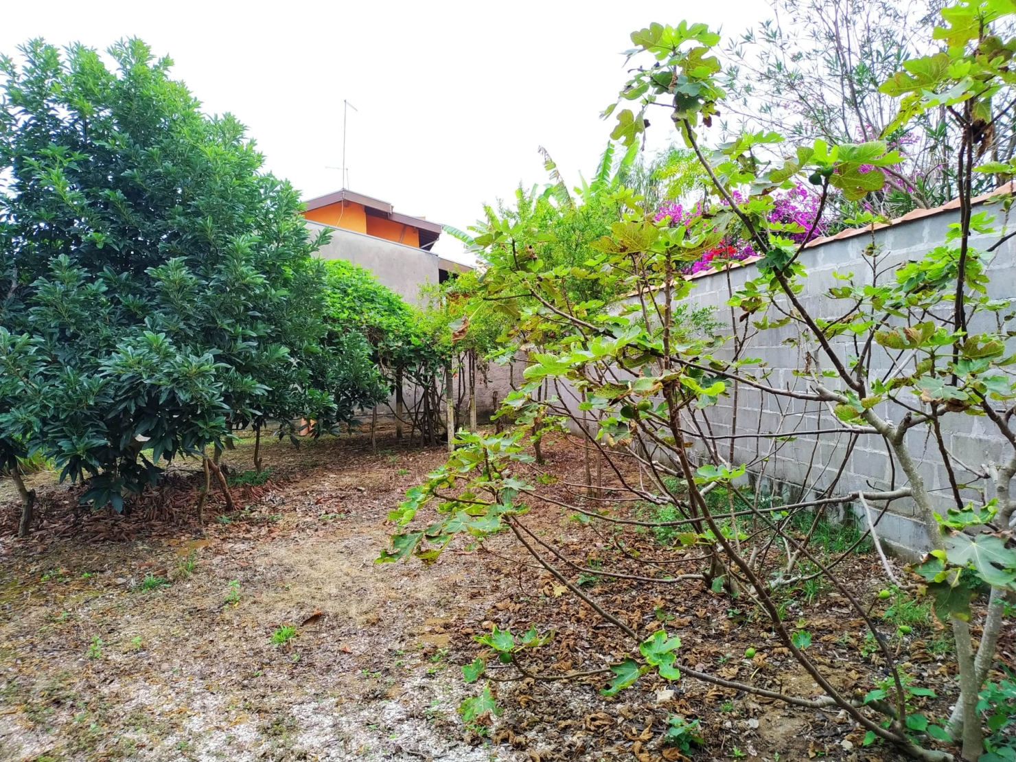 Chácara, 2 quartos, 2036 m² - Foto 18