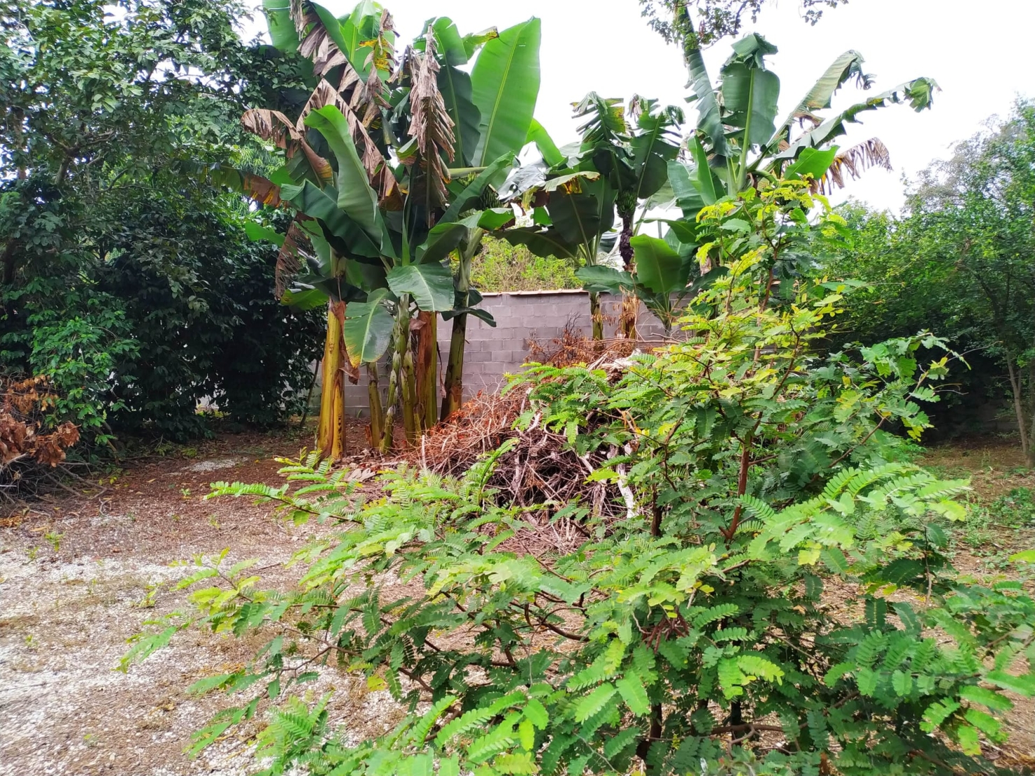 Chácara, 2 quartos, 2036 m² - Foto 19