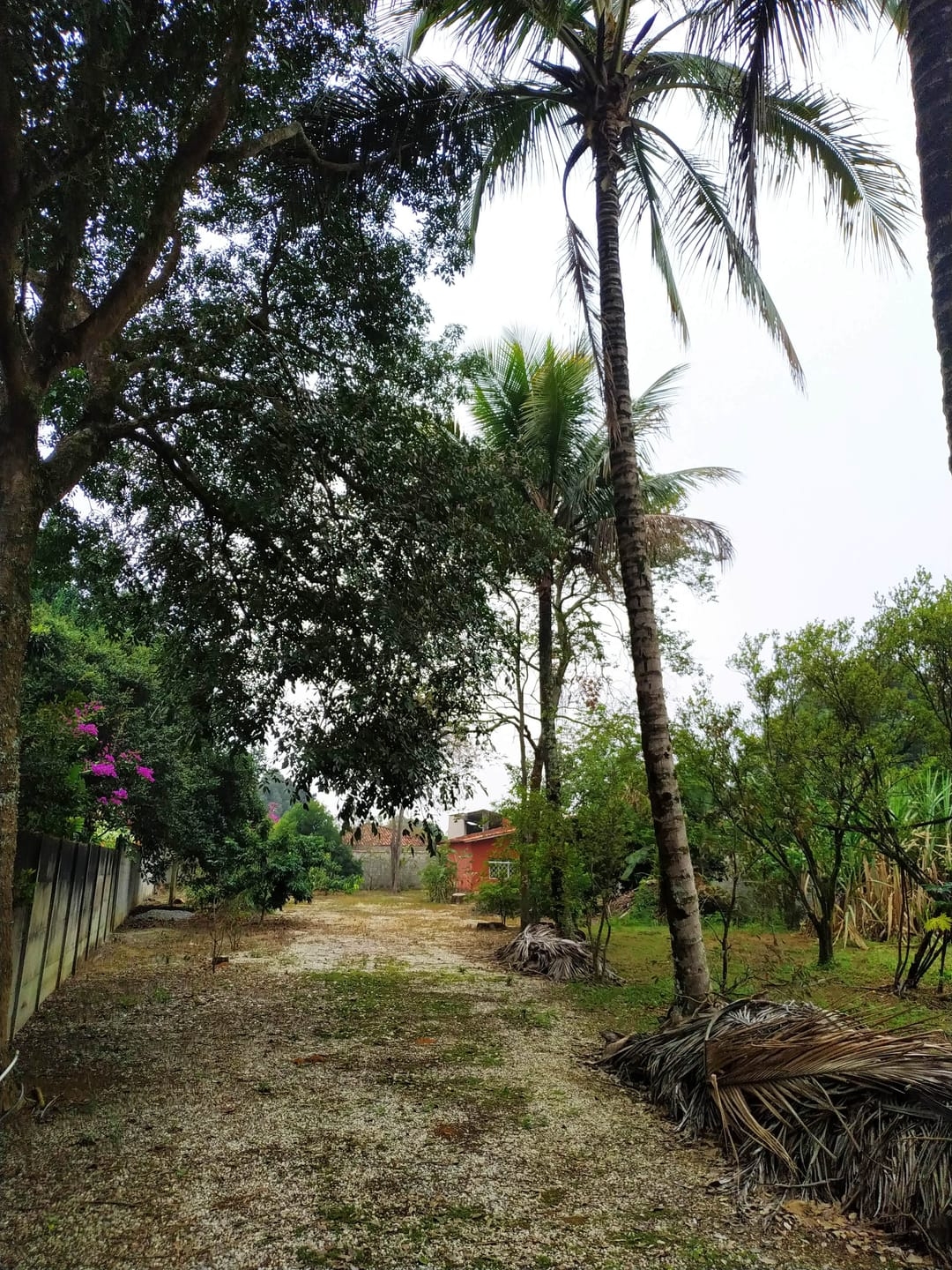 Chácara, 2 quartos, 2036 m² - Foto 20