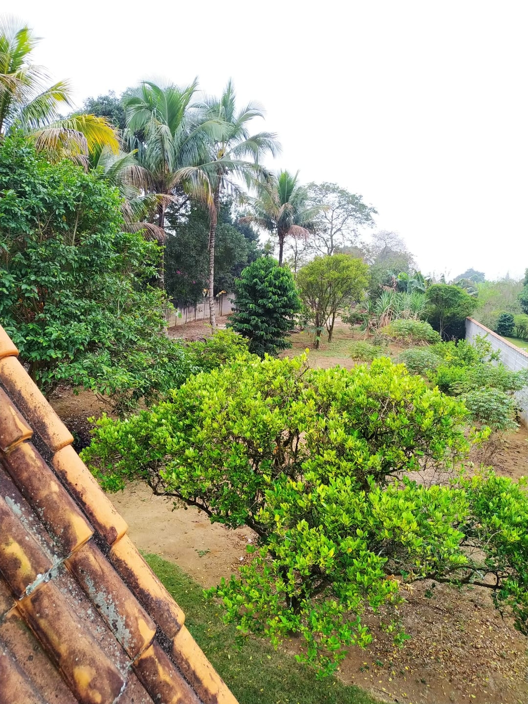 Chácara, 2 quartos, 2036 m² - Foto 28