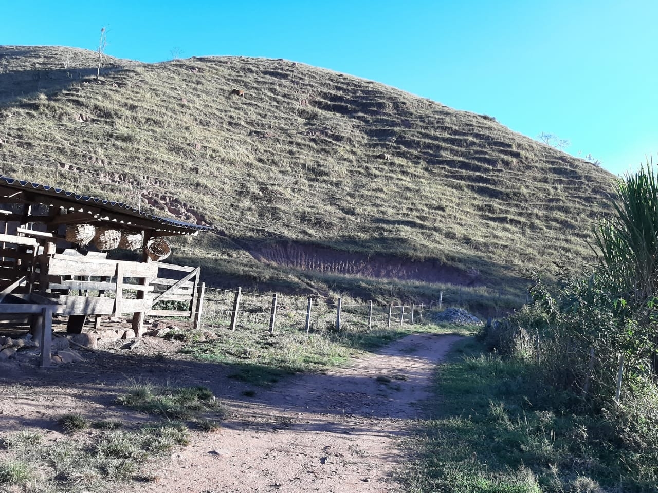 Sítio, 3 quartos, 4 hectares - Foto 2