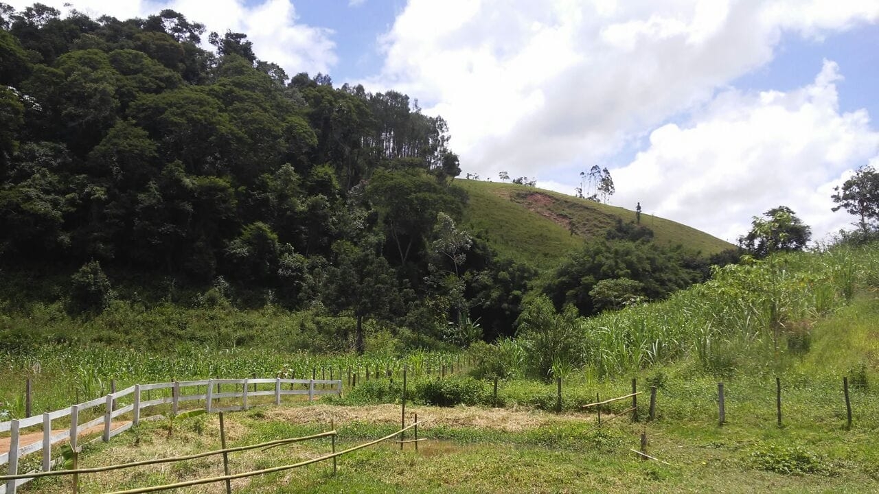 Sítio, 3 quartos, 4 hectares - Foto 3