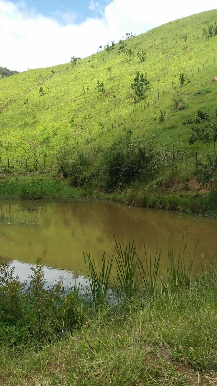 Sítio, 3 quartos, 4 hectares - Foto 4