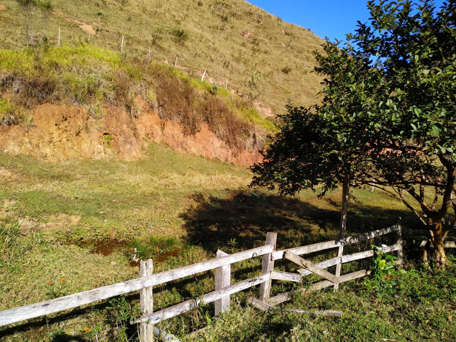 Sítio, 3 quartos, 4 hectares - Foto 7