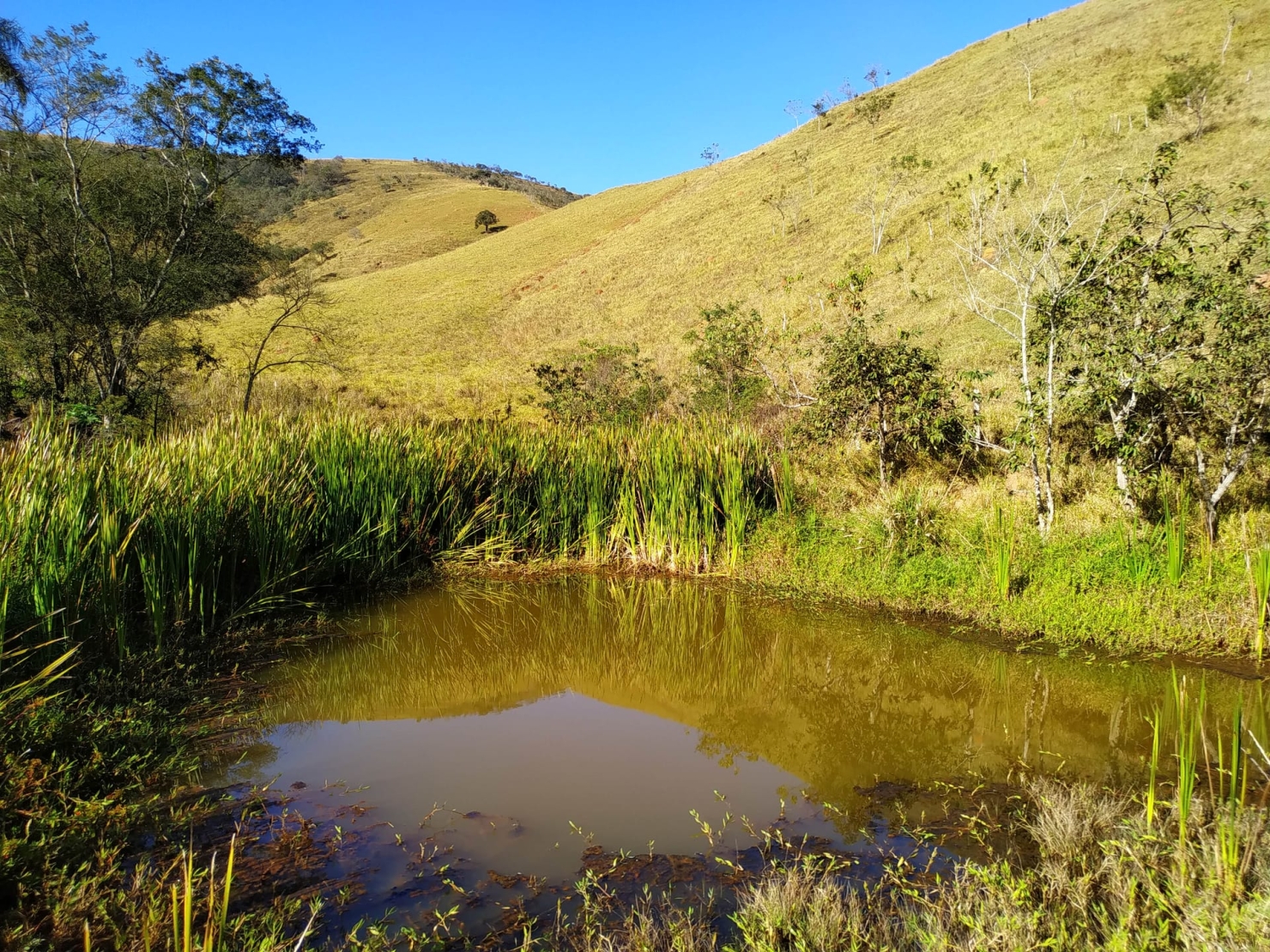 Sítio, 3 quartos, 4 hectares - Foto 8