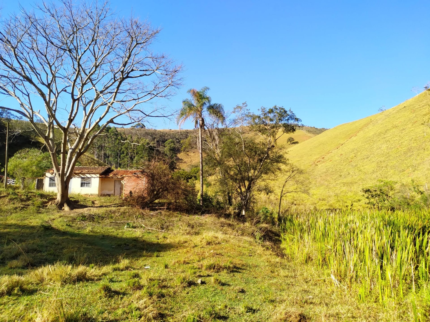 Sítio, 3 quartos, 4 hectares - Foto 10
