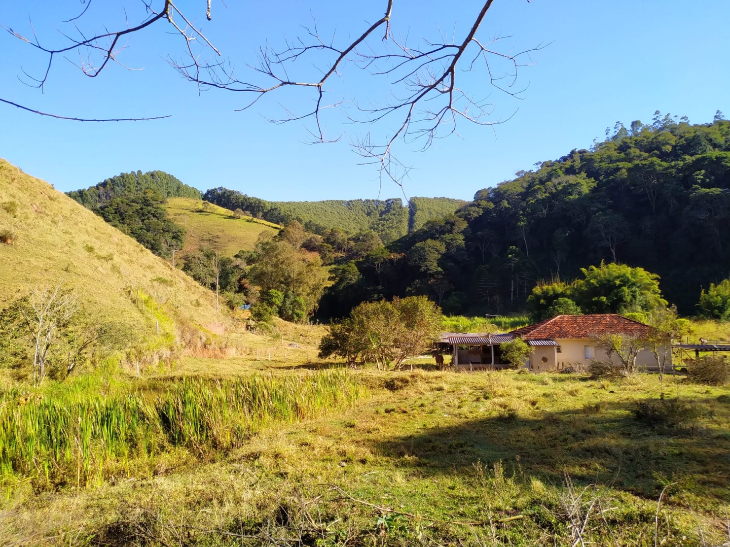 Sítio, 3 quartos, 4 hectares - Foto 11