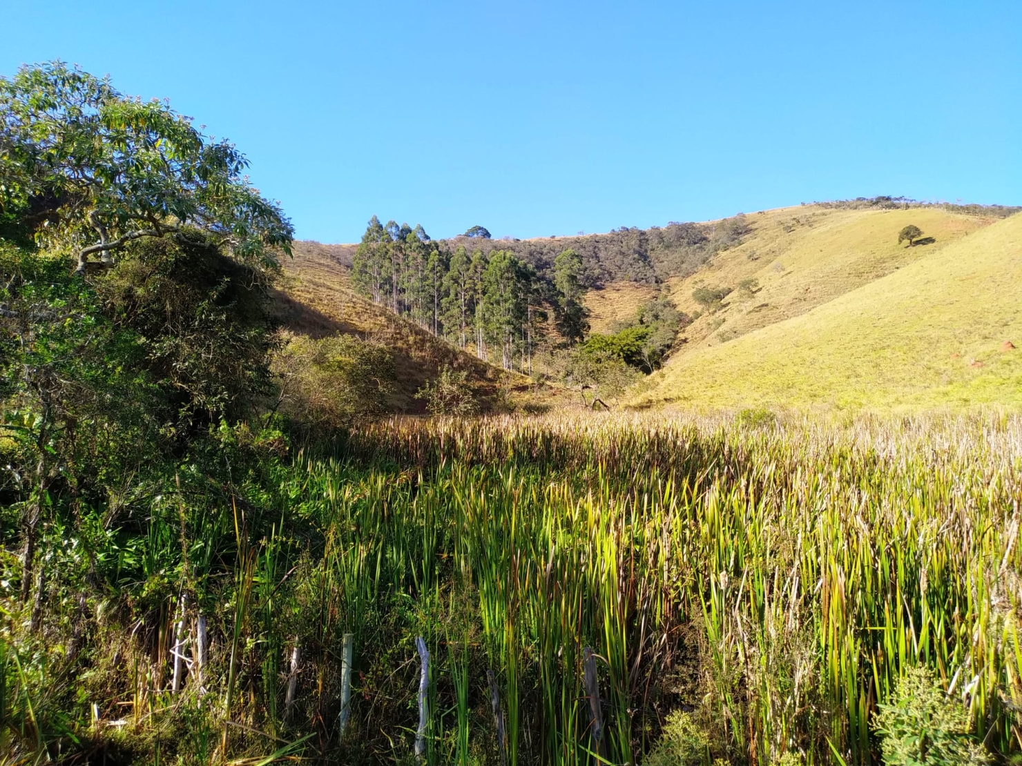 Sítio, 3 quartos, 4 hectares - Foto 12