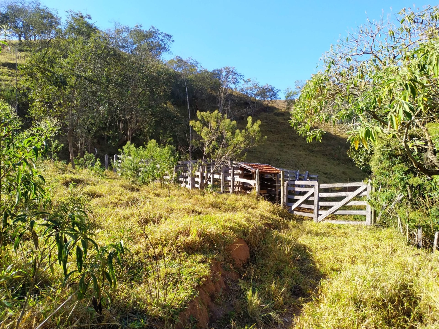 Sítio, 3 quartos, 4 hectares - Foto 13