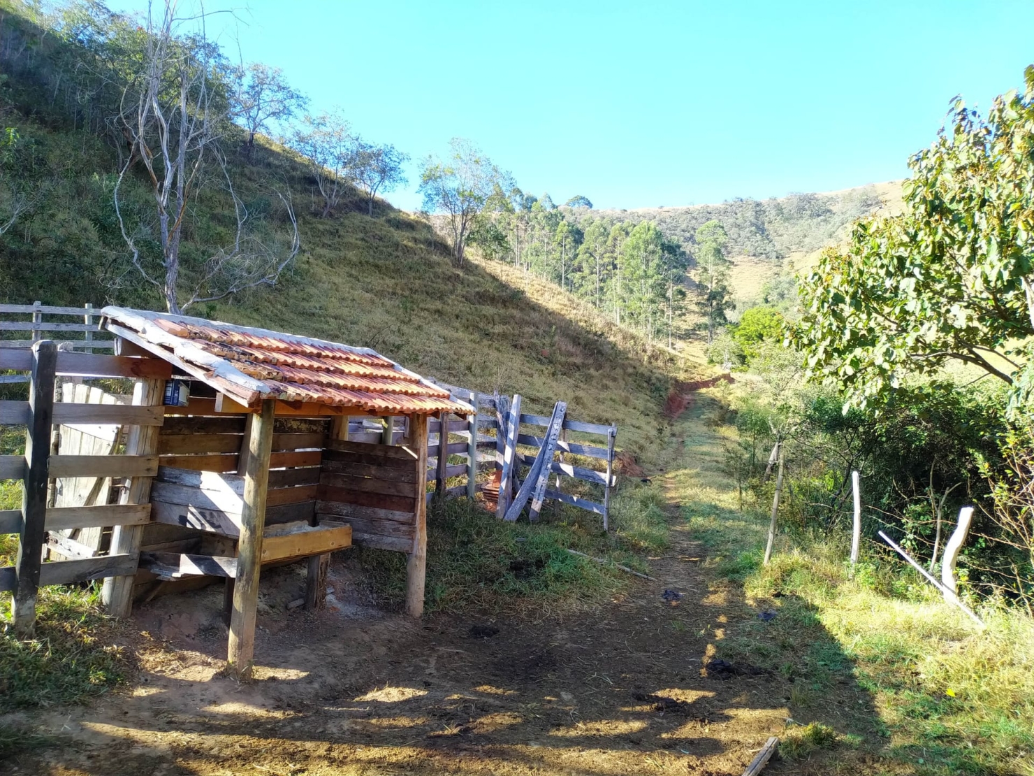 Sítio, 3 quartos, 4 hectares - Foto 14