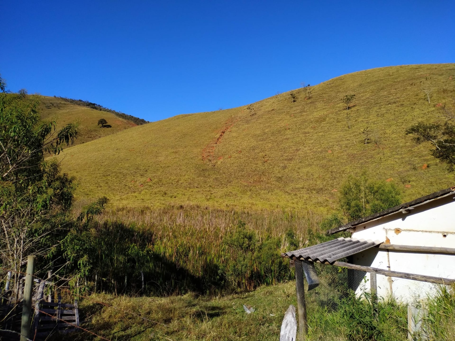 Sítio, 3 quartos, 4 hectares - Foto 15