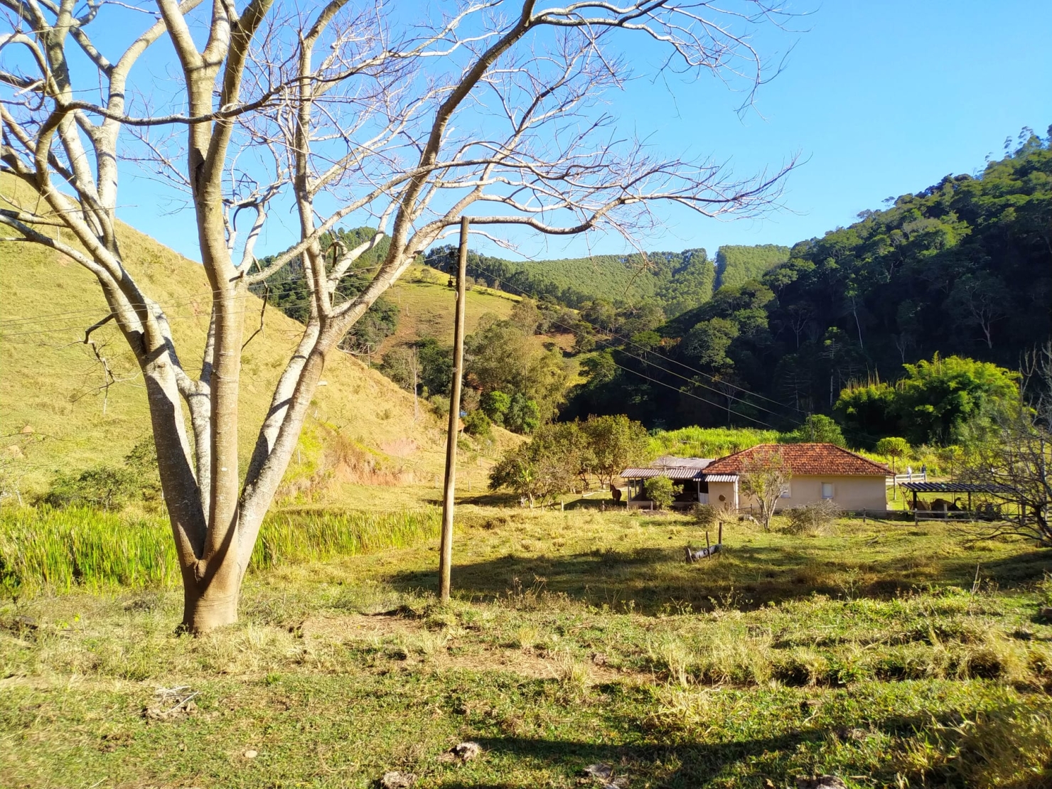 Sítio, 3 quartos, 4 hectares - Foto 16