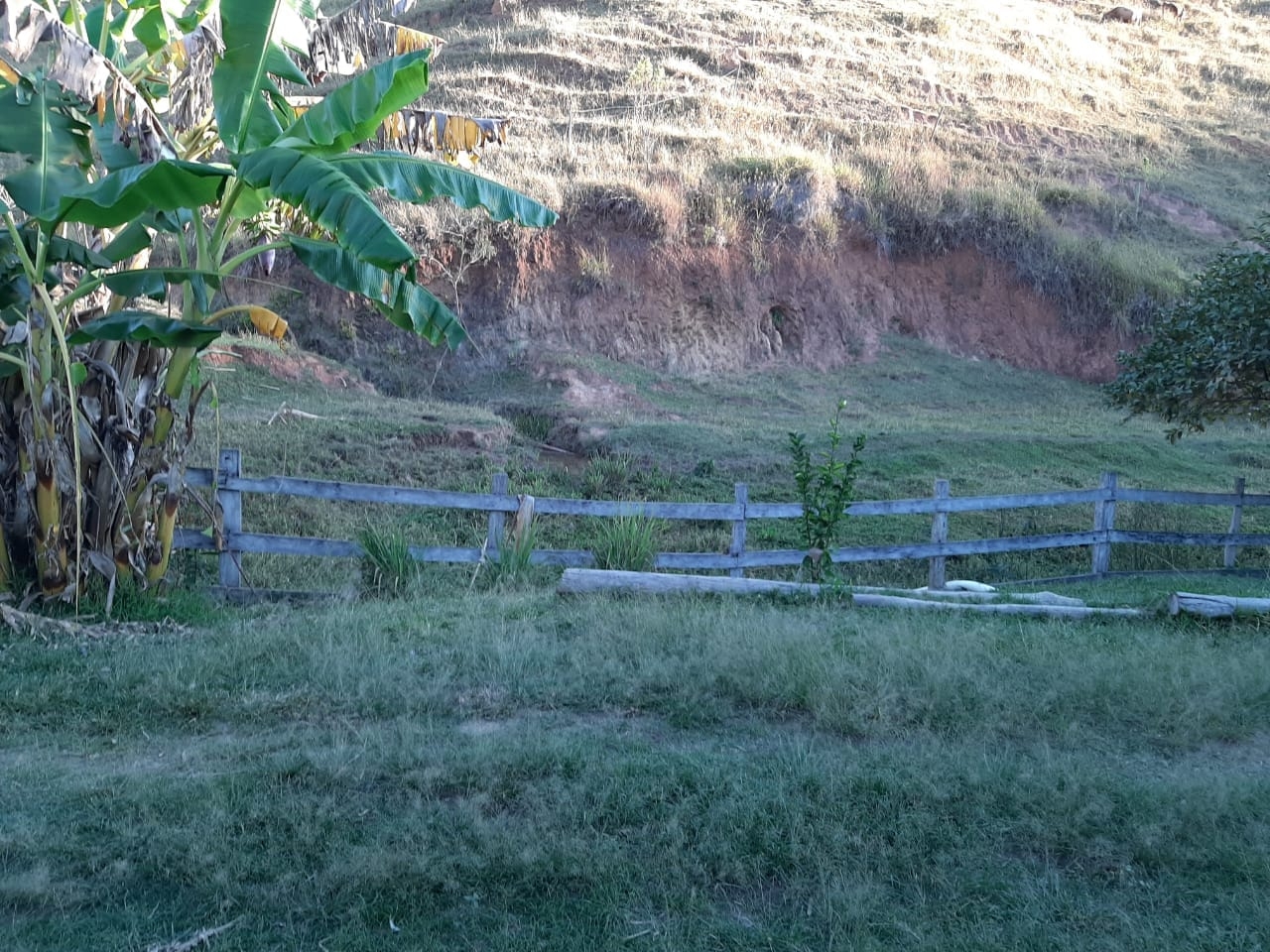 Sítio, 3 quartos, 4 hectares - Foto 20