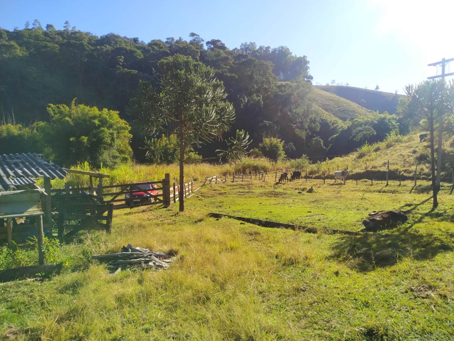 Sítio, 3 quartos, 4 hectares - Foto 21