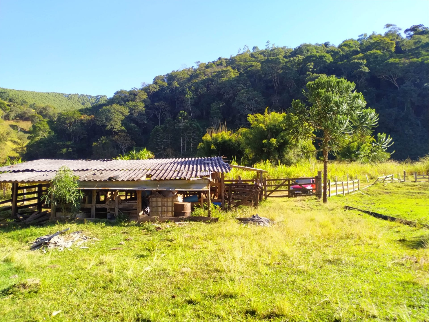 Sítio, 3 quartos, 4 hectares - Foto 22