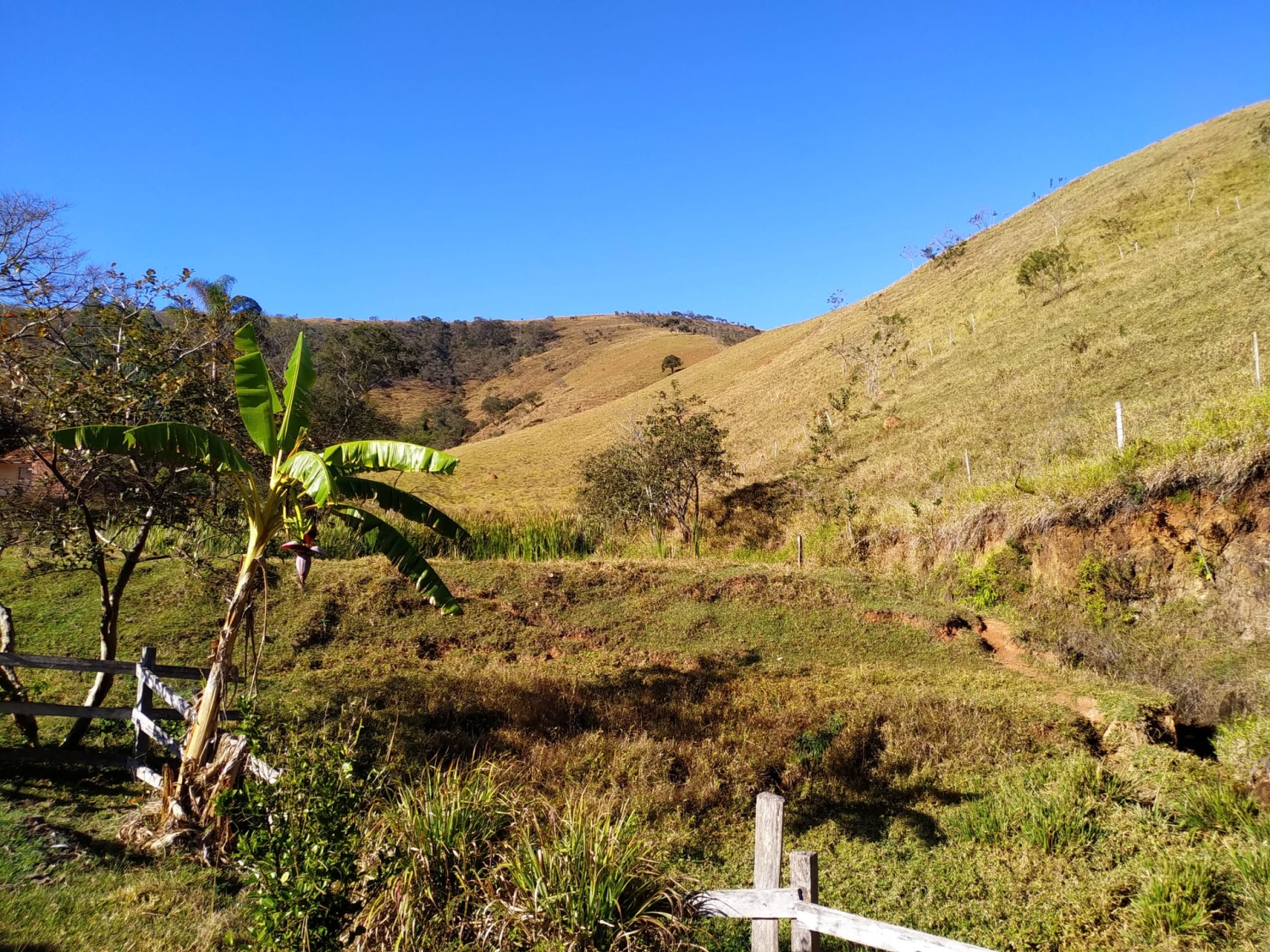 Sítio, 3 quartos, 4 hectares - Foto 24