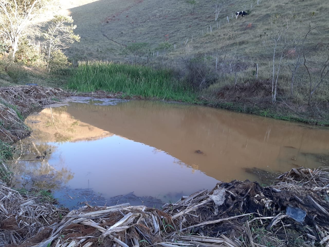 Sítio, 3 quartos, 4 hectares - Foto 45