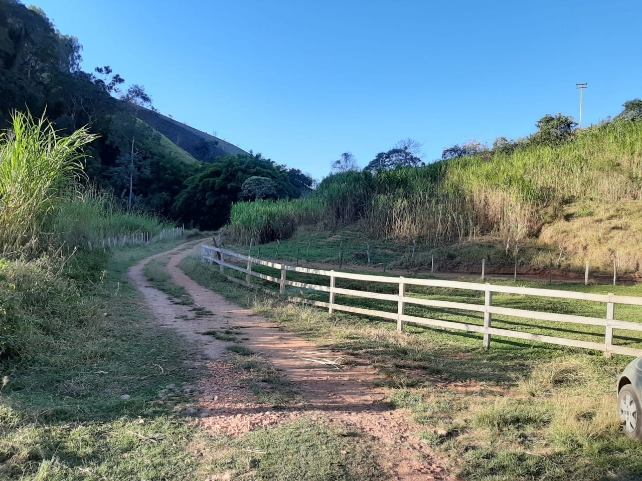 Sítio, 3 quartos, 4 hectares - Foto 46