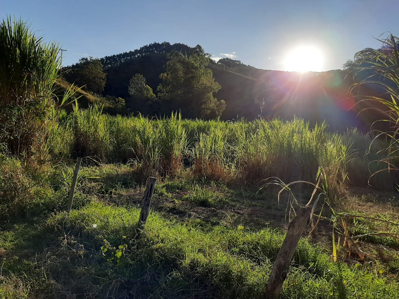 Sítio, 3 quartos, 4 hectares - Foto 48