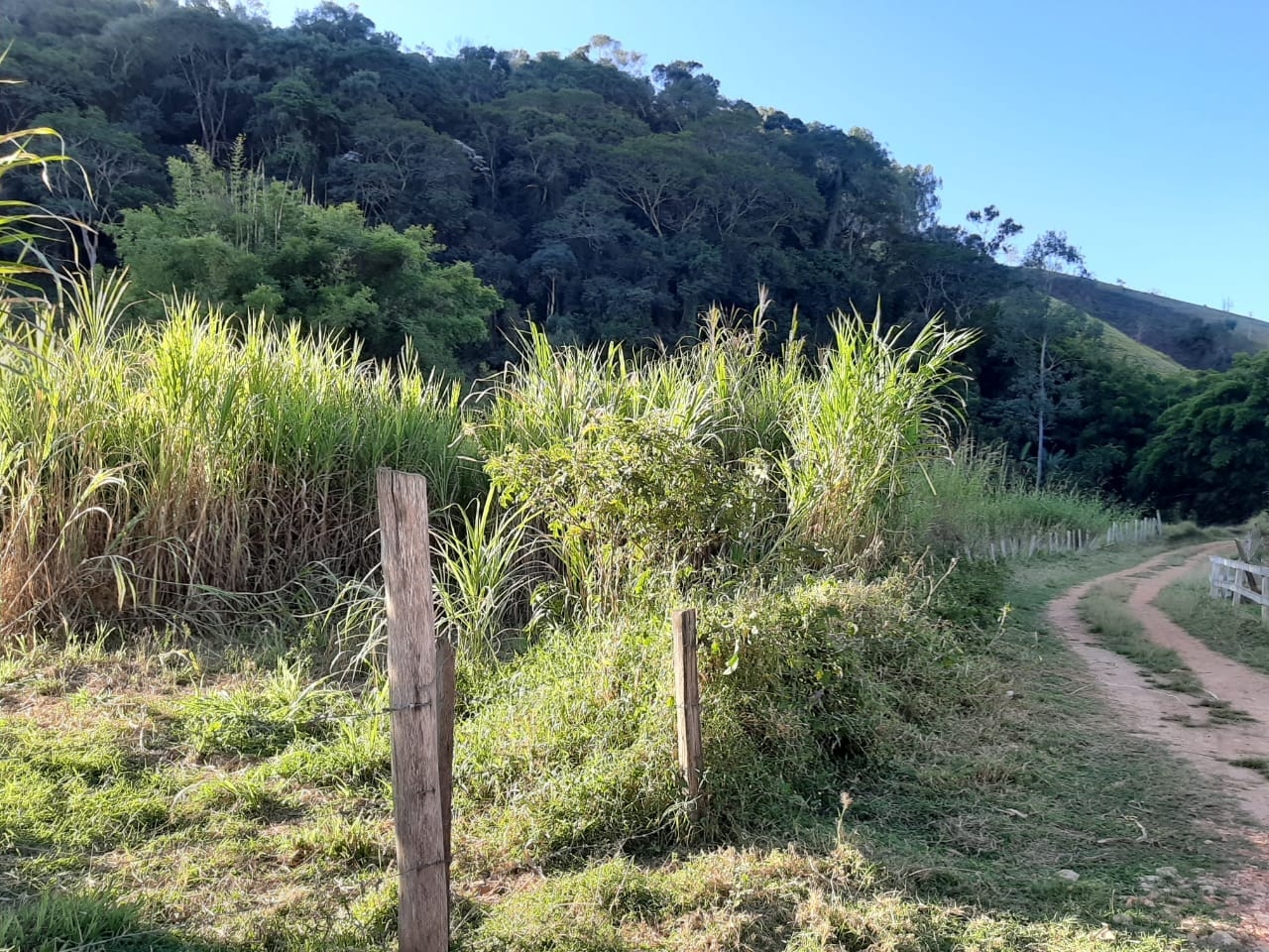 Sítio, 3 quartos, 4 hectares - Foto 49