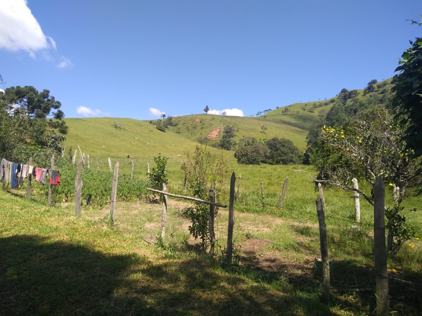 Sítio, 2 quartos, 77 hectares - Foto 2