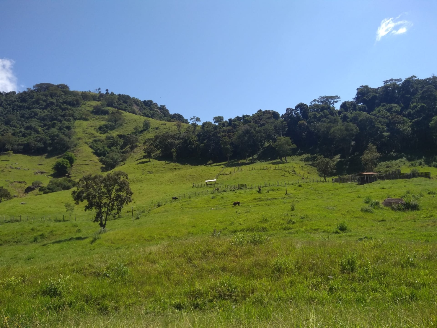 Sítio, 2 quartos, 77 hectares - Foto 6