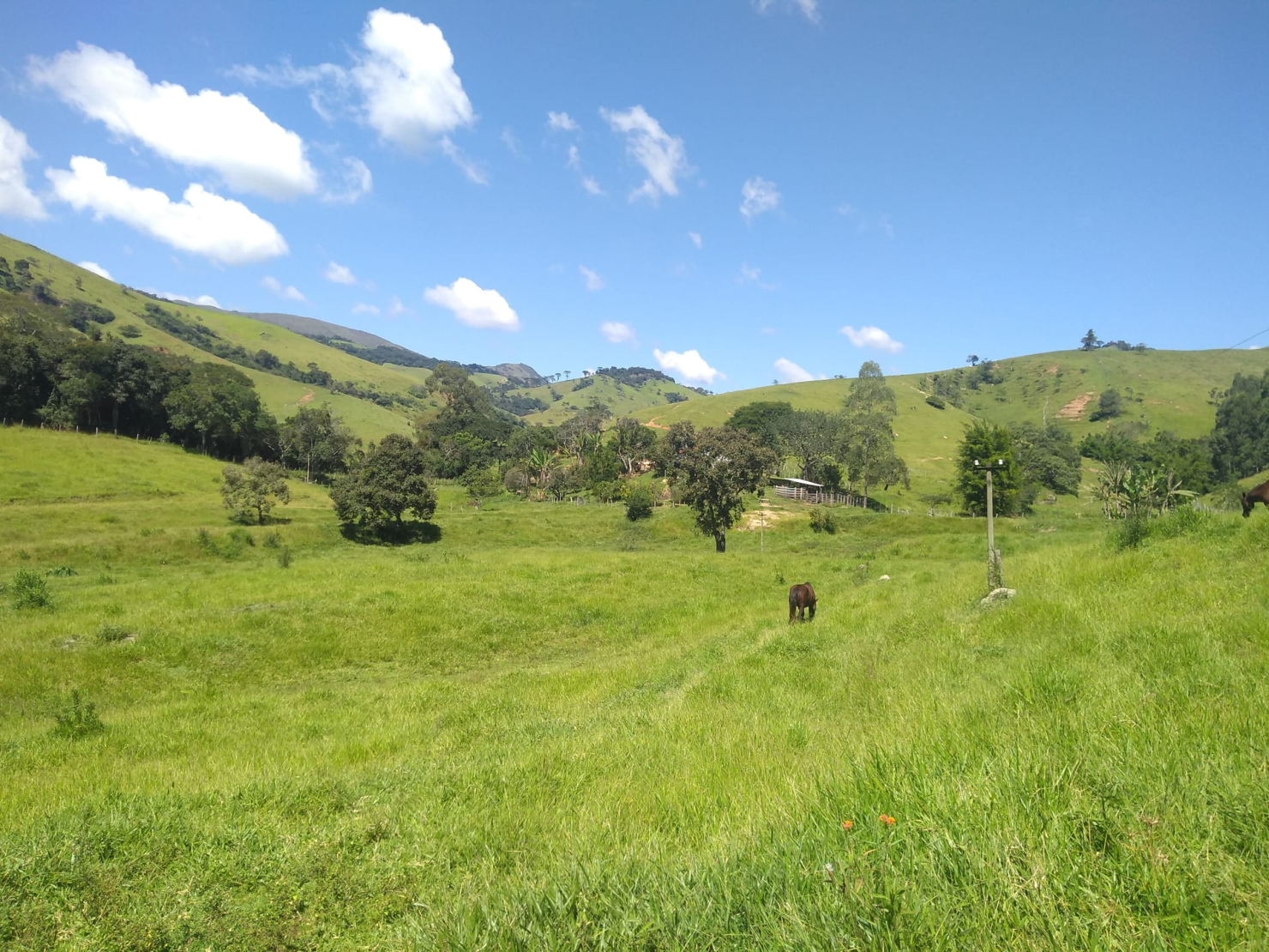 Sítio, 2 quartos, 77 hectares - Foto 7