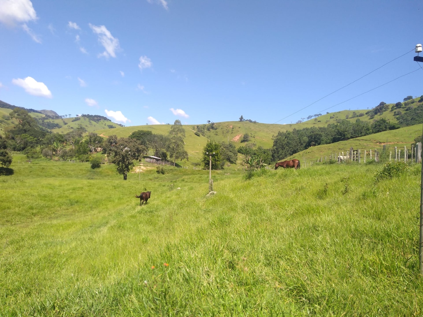 Sítio, 2 quartos, 77 hectares - Foto 8